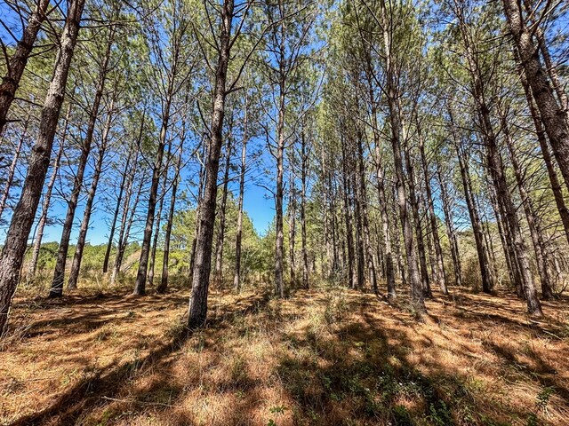 0 Harvest Time Rd, Samson, AL 36477