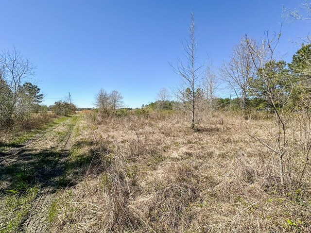 0 Harvest Time Rd, Samson, AL 36477