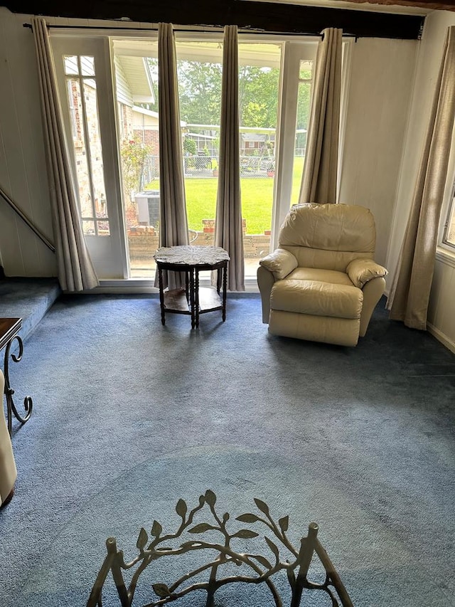 sitting room with carpet floors
