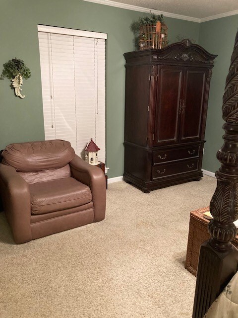 sitting room with ornamental molding and light carpet