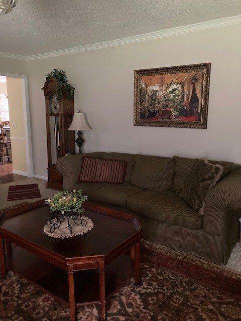 living room with crown molding and a textured ceiling