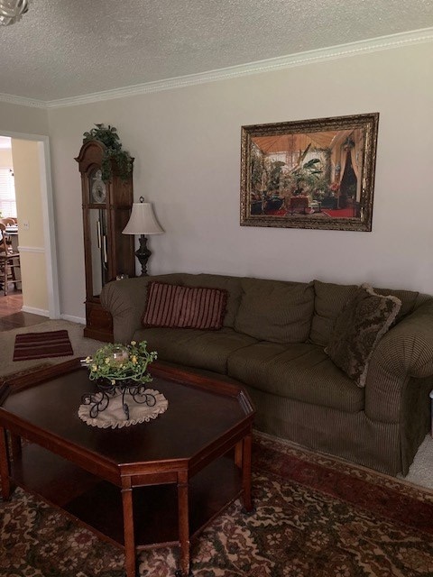 living area featuring crown molding, carpet floors, and a textured ceiling