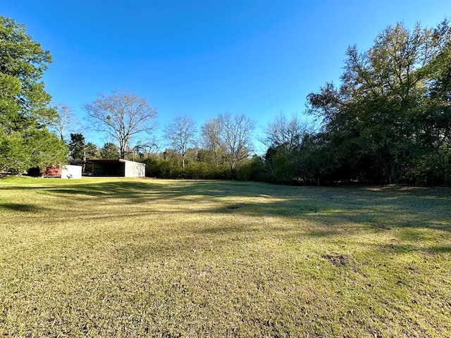 view of yard featuring an outdoor structure