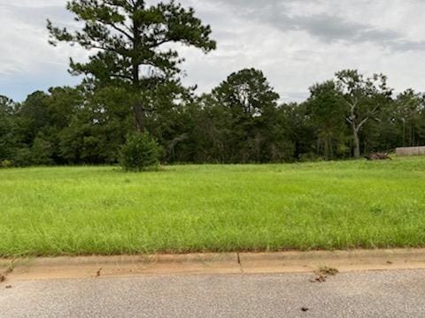 117 Old Kentucky Way, Midland City AL, 36350 land for sale