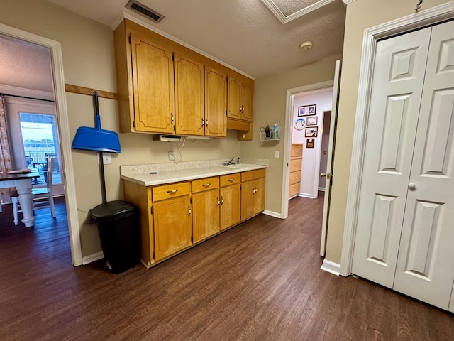 kitchen with a textured ceiling, dark wood-type flooring, and sink