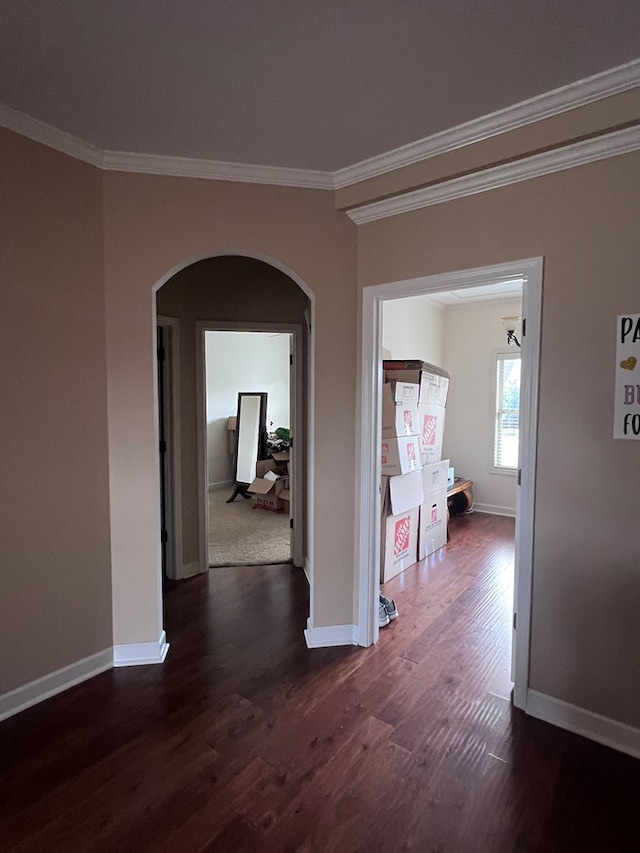 hall with crown molding and dark hardwood / wood-style flooring