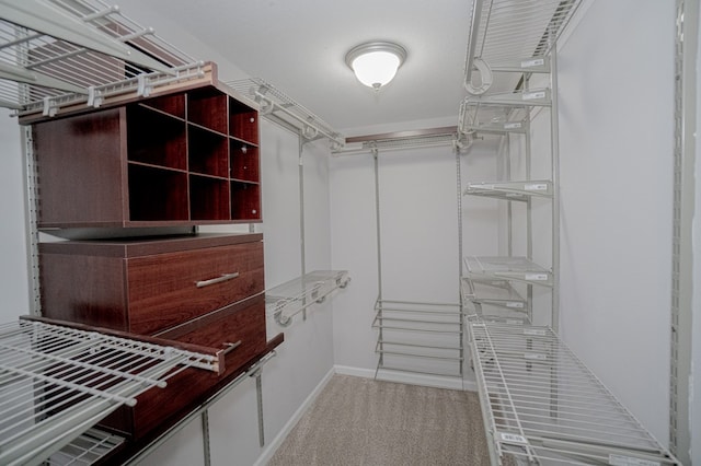 walk in closet featuring light colored carpet