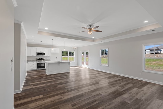 unfurnished living room with a raised ceiling, crown molding, sink, and dark hardwood / wood-style floors