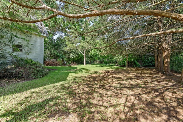 217 S S Greenwood St, Geneva, AL 36340 - view of green lawn