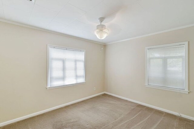 empty room featuring light colored carpet and ornamental molding