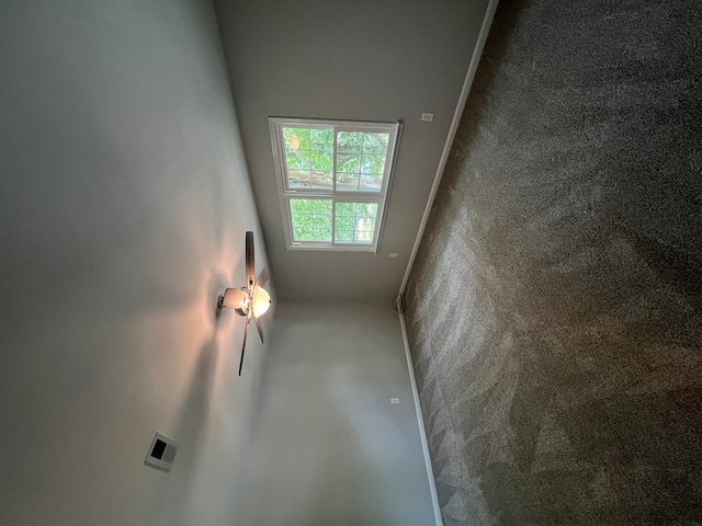 unfurnished room featuring carpet floors