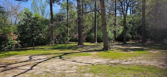 1109 Sumter St, Dothan, AL 36301 - view of green lawn