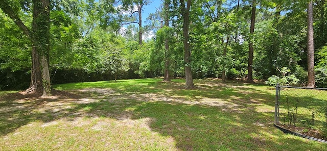 1109 Sumter St, Dothan, AL 36301 - view of green lawn