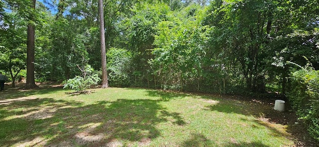 1109 Sumter St, Dothan, AL 36301 - view of green lawn featuring a view of trees