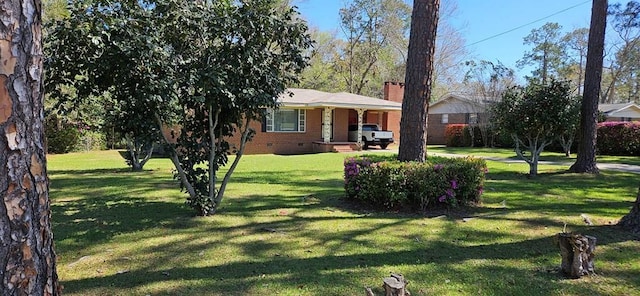 1109 Sumter St, Dothan, AL 36301 - view of grassy yard