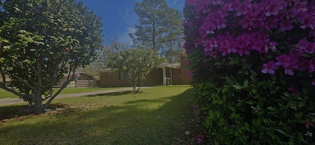 1109 Sumter St, Dothan, AL 36301 - view of yard