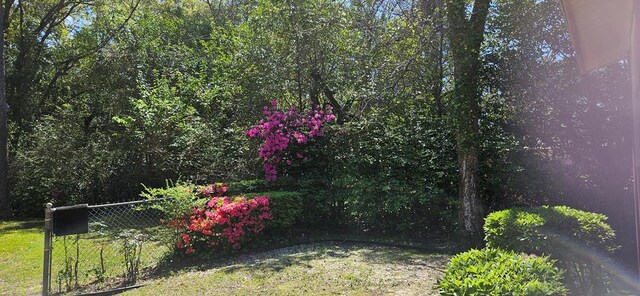 1109 Sumter St, Dothan, AL 36301 - view of yard