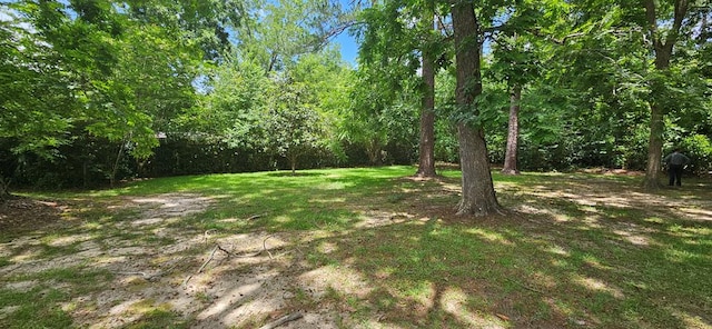 1109 Sumter St, Dothan, AL 36301 - view of grassy yard