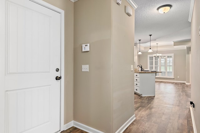 1220 Sandbed Rd, Newton, AL 36352 - photo 11