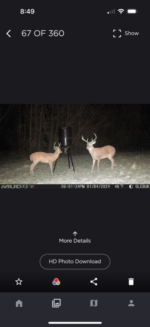 17.5AC County Rd 67, Clopton, AL 36317 - photo 2