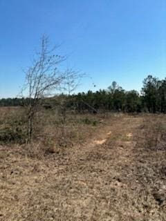 17.5AC County Rd 67, Clopton, AL 36317 - photo 1