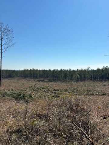 17.5AC County Rd 67, Clopton, AL 36317 - photo 4