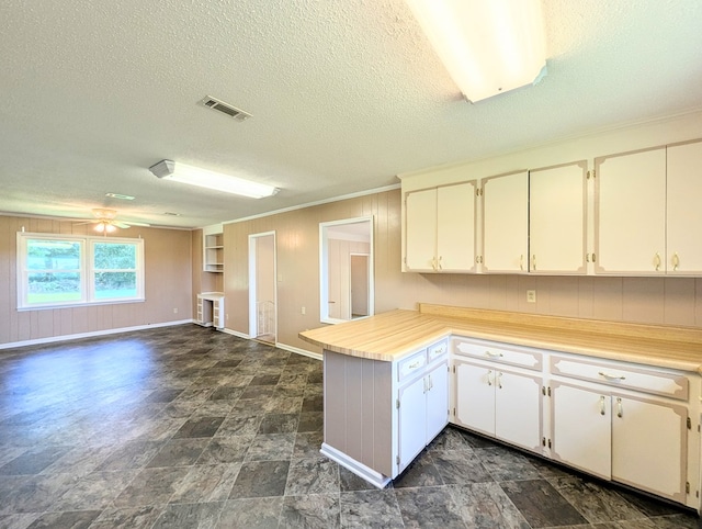 602 Cobb Rd, Dothan, AL 36301 - kitchen featuring a peninsula, open floor plan, light countertops, ceiling fan, and wood walls
