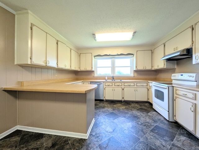 602 Cobb Rd, Dothan, AL 36301 - kitchen with white electric stove, under cabinet range hood, stainless steel dishwasher, light countertops, and a textured ceiling