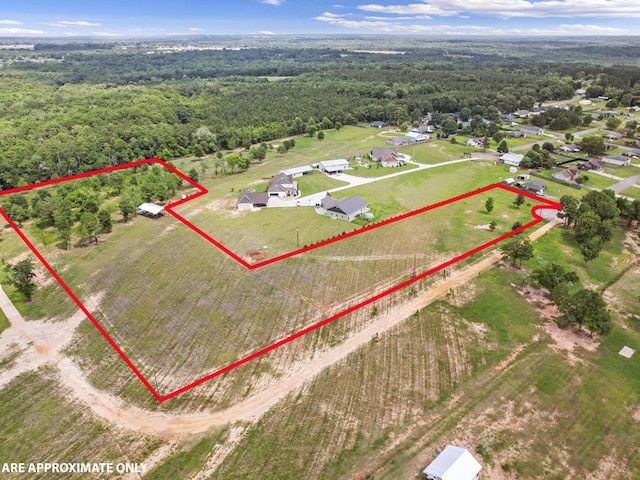 293 Oakwood Dr, Midland City, AL 36350 - photo 1