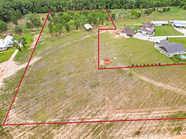 293 Oakwood Dr, Midland City, AL 36350 - photo 5