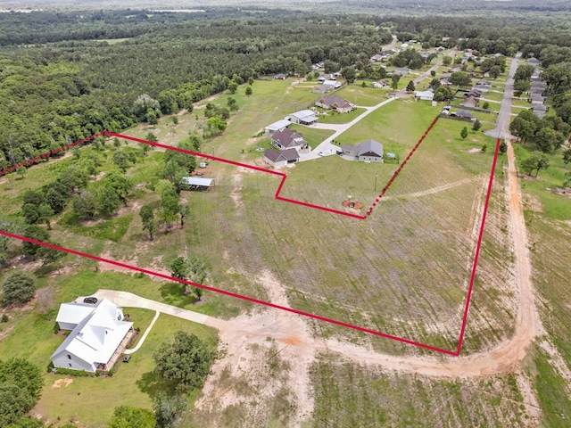 293 Oakwood Dr, Midland City, AL 36350 - photo 6