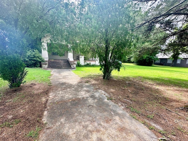 959 S Saint Andrews St, Dothan, AL 36301 - view of asphalt driveway with stairs