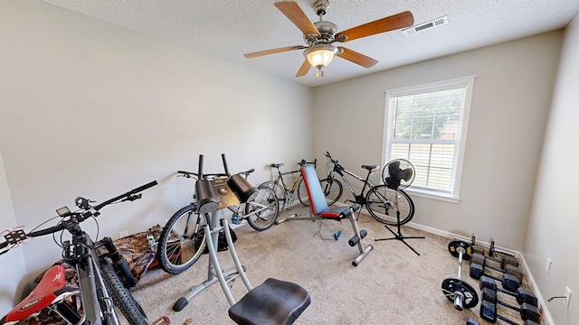 284 Alec Cir, Ozark, AL 36360 - exercise area featuring carpet floors, a textured ceiling, a ceiling fan, and baseboards