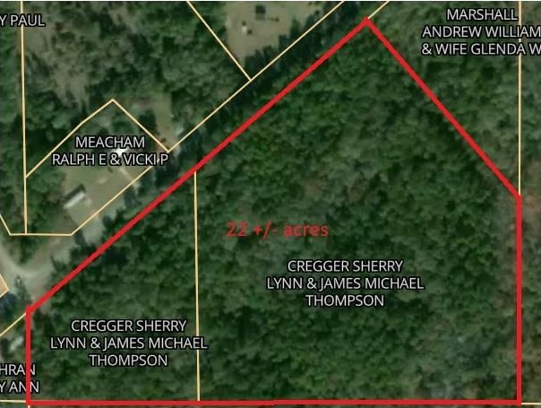 10340 County Road 54, Skipperville AL, 36374 land for sale