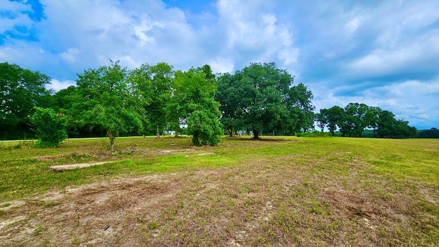 Listing photo 3 for 10ACRES Skyline Rd, Geneva AL 36340