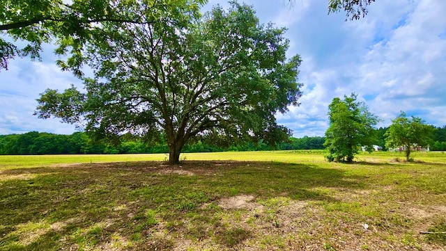 10ACRES Skyline Rd, Geneva AL, 36340 land for sale