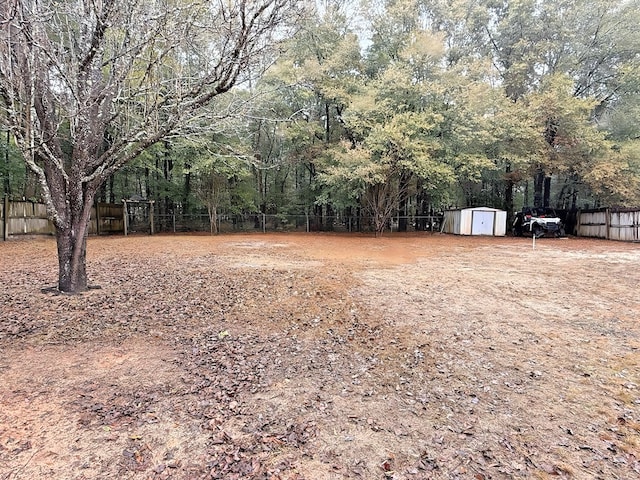 view of yard with a storage unit