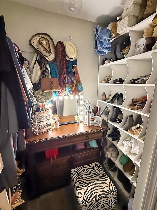 view of walk in closet