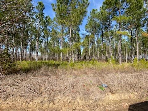 0 Huskey Rd, Dothan AL, 36303 land for sale