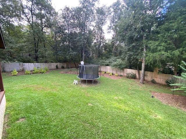 view of yard with a trampoline