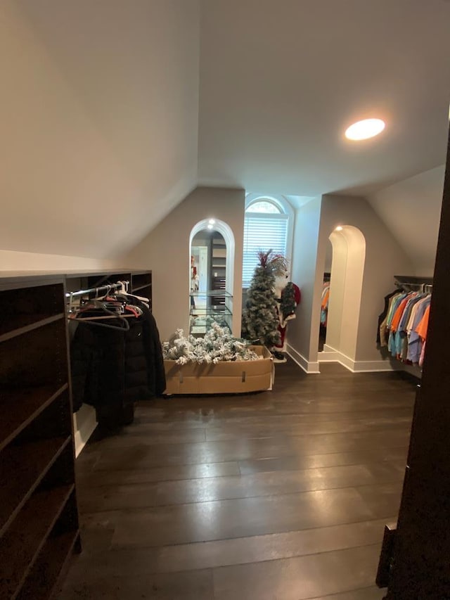 interior space with lofted ceiling and dark wood-type flooring