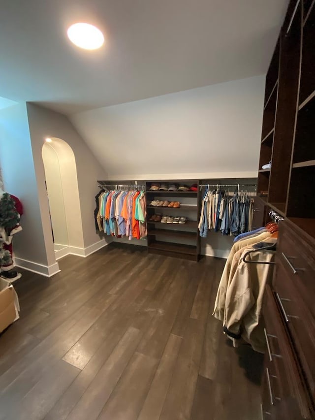 spacious closet with dark hardwood / wood-style flooring and vaulted ceiling