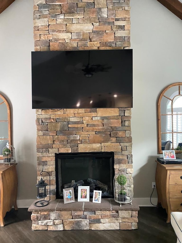 details featuring a fireplace and hardwood / wood-style flooring