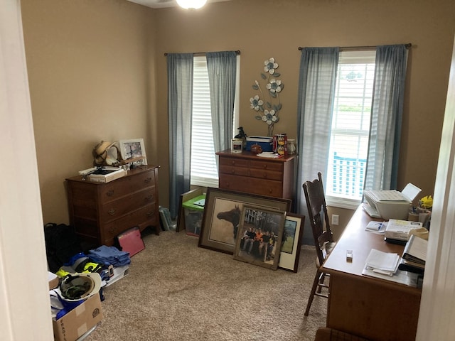 view of carpeted office space