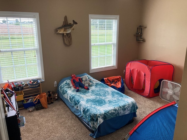 carpeted bedroom with multiple windows