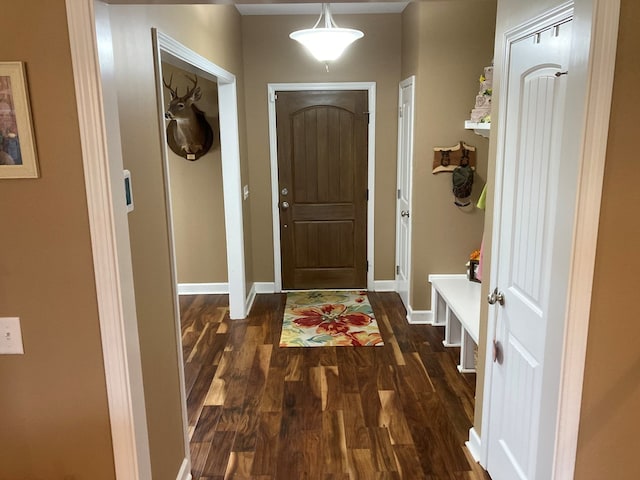 interior space featuring dark wood-type flooring