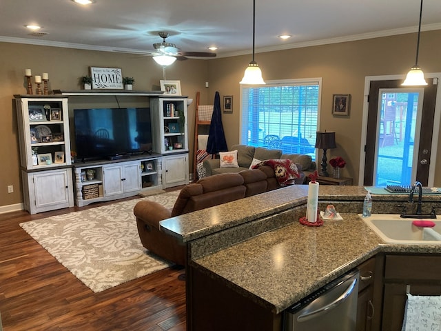 living room with dark hardwood / wood-style floors, crown molding, and sink