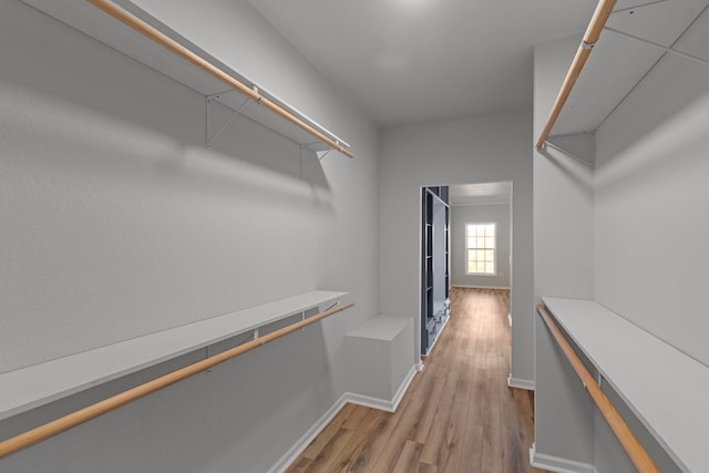 spacious closet with hardwood / wood-style flooring