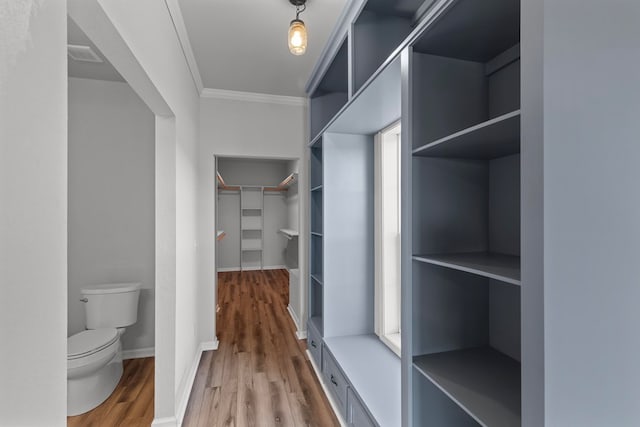 spacious closet with hardwood / wood-style floors