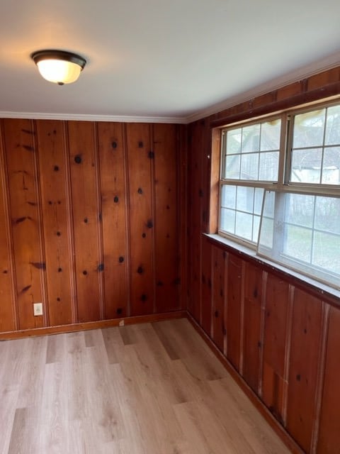 unfurnished room featuring wooden walls and light wood-style floors